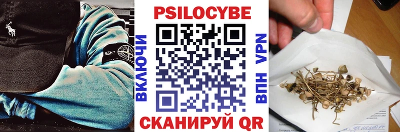 Псилоцибиновые грибы Psilocybine cubensis  OMG   сайты даркнета какой сайт  Данков 
